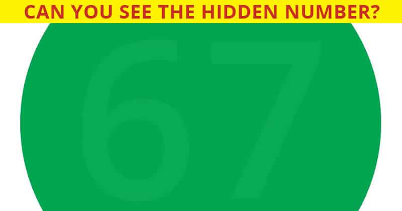 Only 1 In 32 People Get 100% On This Tricky Color Vision Perception Test!